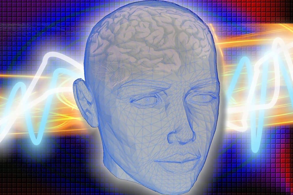 פנים