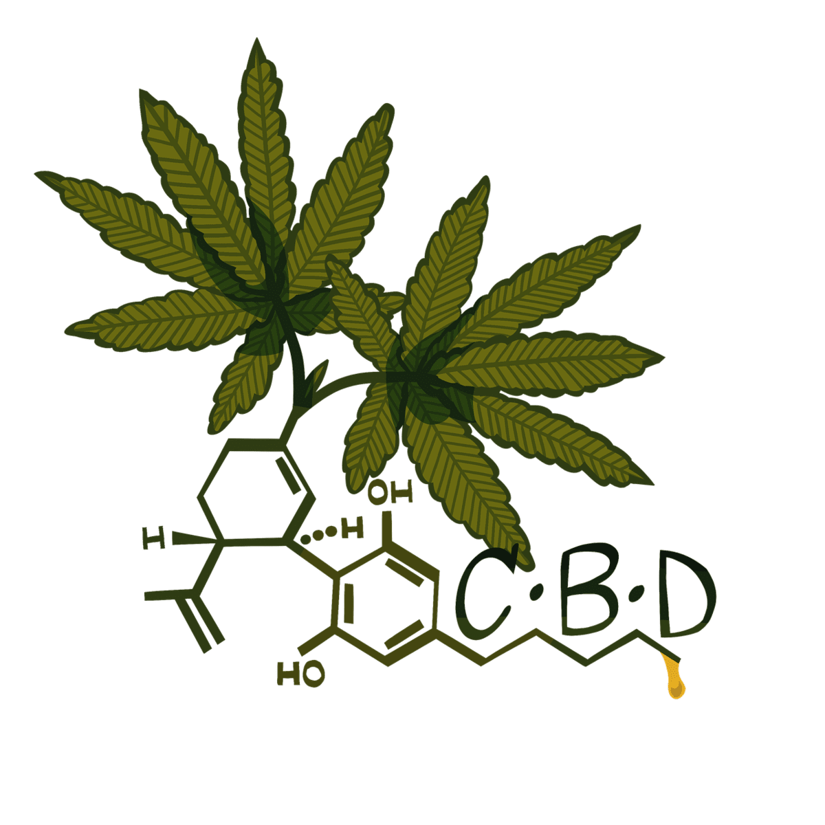 מה ההבדל בין CBD ל- THC?