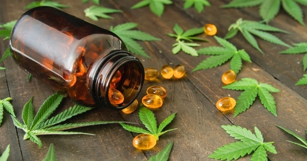 שמן CBD
